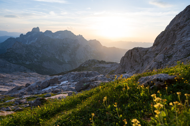 Sunlight over mountain ridges and a rocky valley, with yellow wildflowers in the foreground